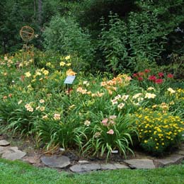 Falcon Turn Daylily Garden Earns Honors