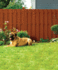 Six Steps to Fabulous Fencing