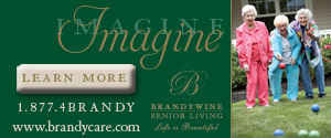 BrandywineSeniorLiving300x125