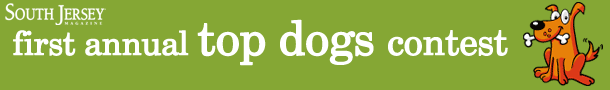 top dog banner